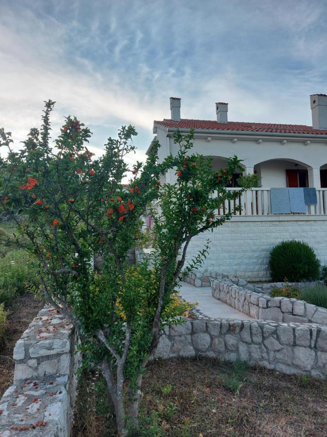 Villa Goga Ždrelac Exterior foto